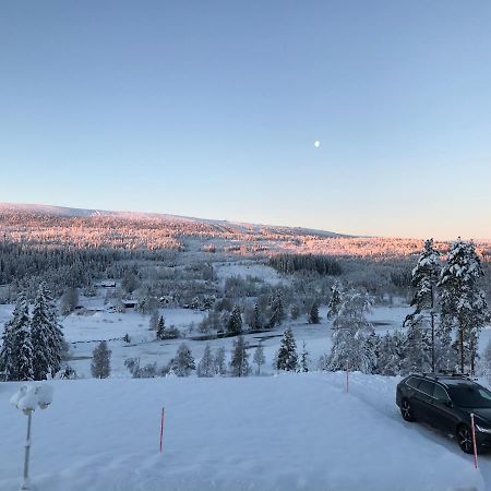 Utsikten I Saelens By Kültér fotó